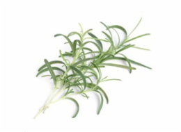 Véritable Lingot Rozmarýn