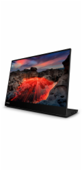 Lenovo ThinkVision M14t Gen2 (35,6 cm (14 palců), černý, 2,2K, IPS, USB-C)