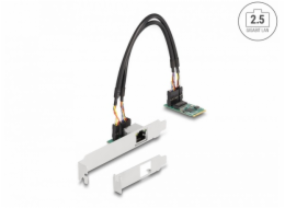 Delock Převodník M.2 Key B+M 1 x RJ45 2,5 Gigabit LAN