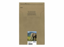Epson 24 Multipack Easy Mail Packaging - 6-balení - 29.1 ml - černá, žlutá, azurová, purpurová, světlá fialová, světle azurová - originální - pouzdro - inkoustová cartridge - pro Expression Photo XP-5