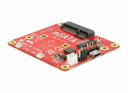 Delock - Řadič úložiště - mSATA - mSATA - USB 2.0