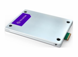 Solidigm D5 Series D5-P5336 - SSD - Read Intensive - 30.72 TB - interní - E3.S - PCIe 4.0 x4 (NVMe)