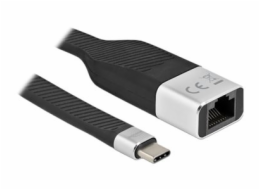Delock - Síťový adaptér - USB-C 3.2 Gen 1 - Gigabit Ethernet - černá, stříbrná