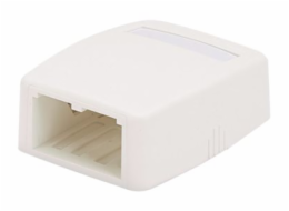 Panduit MINI-COM - Krabice k upevnění na povrch - arktická bílá - 2 porty