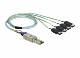 Delock - Kabel SATA/SAS - 4 linky - eSATA (F) do 26 pinů 4x Shielded Mini MultiLane SAS (SFF-8088) (M) - 1 m