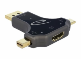 Delock&nbsp;-&nbsp;Video&nbsp;adaptér&nbsp;-&nbsp;USB-C,&nbsp;Mini&nbsp;DisplayPort,&nbsp;DisplayPort&nbsp;s&nbsp;piny&nbsp;(male)&nbsp;do&nbsp;HDMI&nbsp;se&nbsp;zdířkami&nbsp;(female)&nbsp;-&nbsp;antracit&nbsp;-&nbsp;podporuje&nbsp;4K