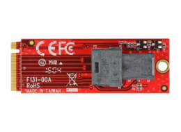 Delock - Adaptér rozhraní - SAS 12Gb/s - M.2 Card