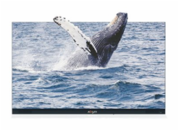 Absenicon C138 - 138" Třída úhlopříčky 3.0 Series displej LCD s LED podsvícením - konference - 1080p 1920 x 1080