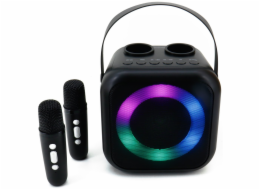 Soundmaster BT2024SW/ 5W/ BT/ Disco light/ USB-C/ 2x BT mikrofony