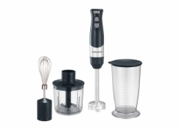 Morphy Richards Blender 402061 (black)