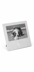 Zilverstad Hund            15x10 Metall Portrait          6916231