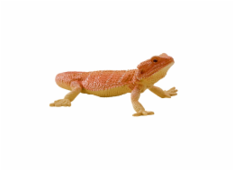 Mojo Agama