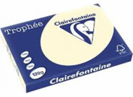 Trophee Trophee papír A3/120g písek (250)