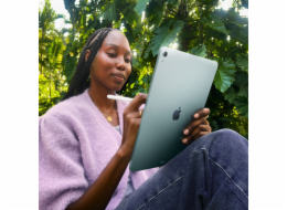 Apple iPad Air 11 (1TB), Tablet-PC