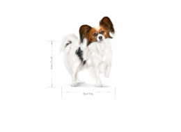 ROYAL CANIN Adult x- small SHN - suché krmivo pro psy - 1,5kg