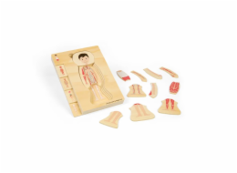Bigjigs Toys Dřevěné puzzle Anatomie chlapec