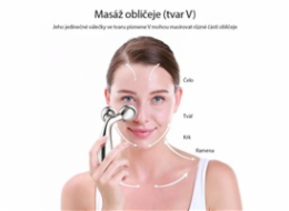 TOUCHBEAUTY 1613AS Masážní váleček na obličej stříbrný