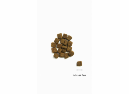 ORIJEN Small Breed Marine Fish - suché krmivo pro psy - 1,8kg
