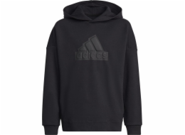 Mikina Adidas adidas FI Logo HD Jr HR6301
