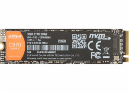 Dahua Technology DHI-SSD-C970N256G 256GB M.2 2280 SSD disk (SSD-C970N256G)