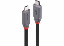 Lindy USB kabel USB-C – USB-C 2 m černý (36958)