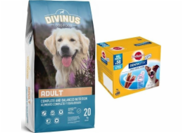 Divinus DIVINUS Dospělí dospělí psi 20kg+ rodokmen malých plemen