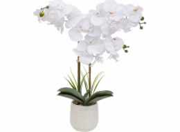Atmosphera Umělá orchidej v květináči RIVA, 60 cm