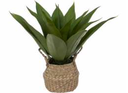 Atmosphera Umělá rostlina AGAVE v košíku, 48 cm