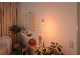 Paulmann LED světelný zdroj METALLIC GLOW ZYL mosaz Helix E27 3,5W 130lm 1800K 230V