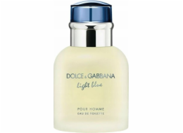 Alkotest DOLCE & GABBANA Light Blue Pour Homme EDT sprej 40ml