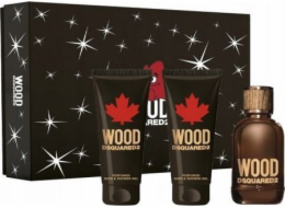 Alkotest SET DSQUARED Wood EDT sprej 100ml + SPRCHOVÝ GEL 100ml + AS BALZÁM 100ml