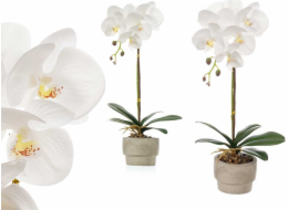 Ibergarden Umělá orchidej v cementovém květináči ORCHI, 56 cm