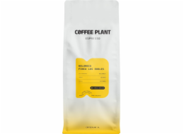 Kávovník Espresso Kolumbie Finca Los Robles 1 kg