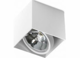 Stropní svítidlo Torino Alex 1x50W (GM4112)