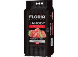 Substrát Agro  FLORIA pro jahody 40 l, otoč a sázej