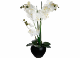 Atmosphera Orchidej v černém květináči 53 cm