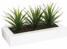 Atmosphera Umělá rostlina 3 x aloe v bílém květináči, 31 cm