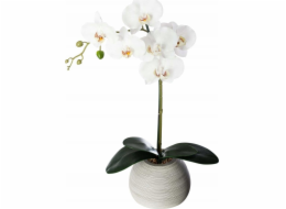 Atmosphera Květinová výzdoba "Cement touch" - orchidej s keramickým květináčem, výška 50 cm