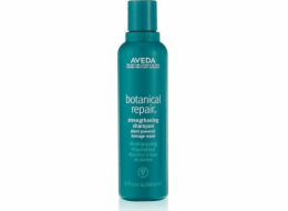 Aveda Aveda Botanical Repair posilující šampon 200 ml