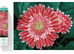 DIAMOND DOTZ Diamantová výšivka Diamond Dotz Diamantová mozaika Gerbera růžová 58x48cm DQ10001