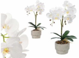 Ibergarden Umělá orchidej v cementovém květináči ORCHI, 49 cm