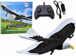 LeanToys Letadlo na dálkové ovládání Eagle Bird Letadlo na dálkové ovládání RC 2.4G 41cm x 28cm x 5cm