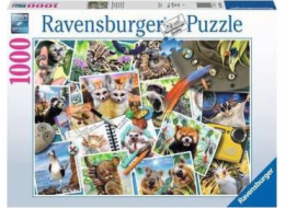 Ravensburger RAV puzzle 1000 zvířat světa 17322