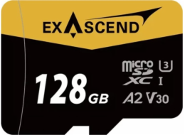 ExAscend Paměťová karta Catalyst MicroSDXC 128GB UHS-I/U3 A2 V30 (EX128GUSDU1-AD)