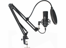 NoName Mikrofon AC-03