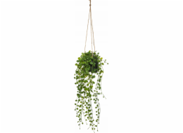 Atmosphera Umělá závěsná rostlina Peperomia, O 18 x 62 cm