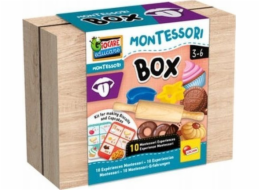 Lisciani LISCIANI MONTESSORI BOX CHUŤ
