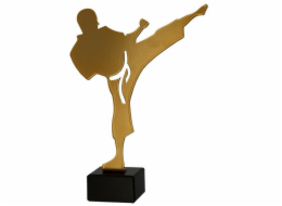 Victoria Sport Kovová trofej s mramorovým podstavcem - Karate - karateka