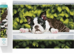 DIAMOND DOTZ Diamantová výšivka Diamond Dotz Diamantová mozaika Pes ležící Boston Blues 55x45cm DQ10018