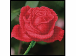 DIAMOND DOTZ Diamantová výšivka Diamond Dotz Červená růže 33x33cm DDK5038